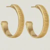 Arete Hoops Gold Vermeil