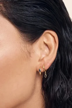 Chrysalis Earrings Sapphire Gold